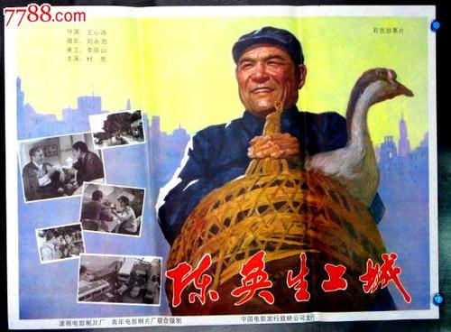 学位证的证书编号